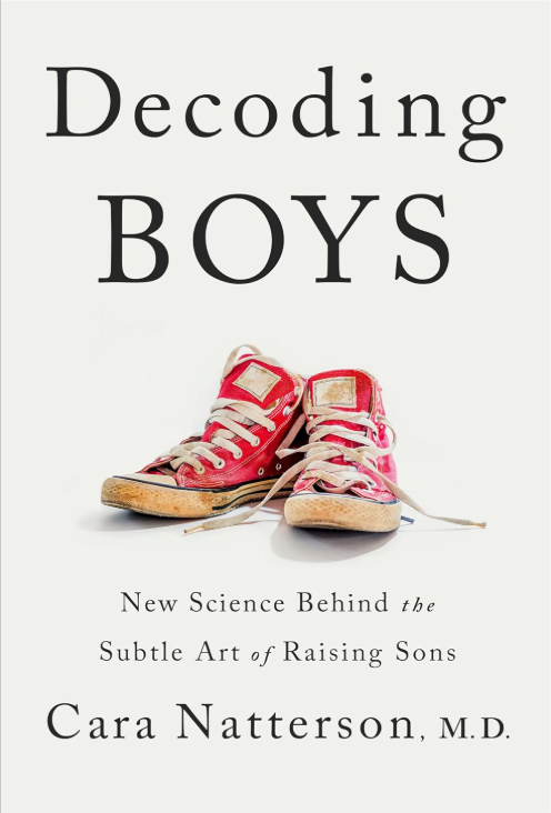 Book cover for "Decoding Boys" Book cover for "Decoding Boys"