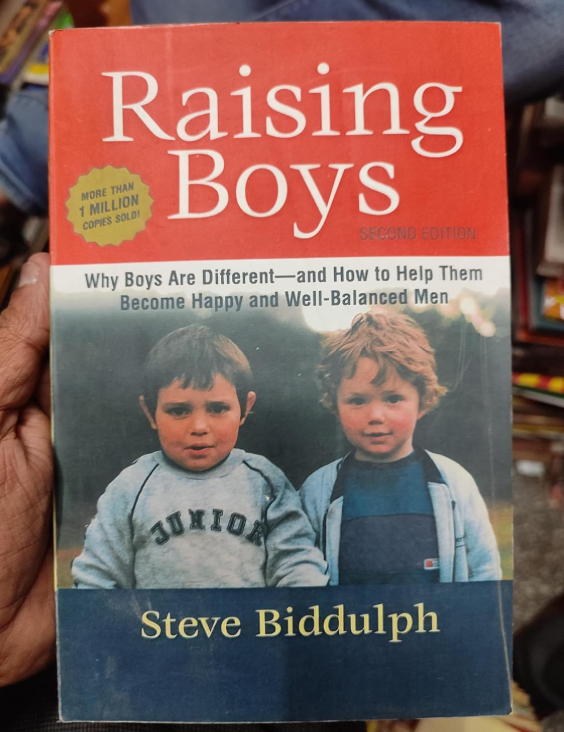 Book cover for "Raising Boys" Book cover for "Raising Boys"