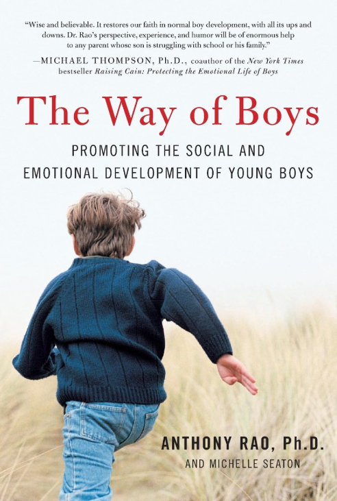 Book cover for "The Way of Boys" Book cover for "The Way of Boys"