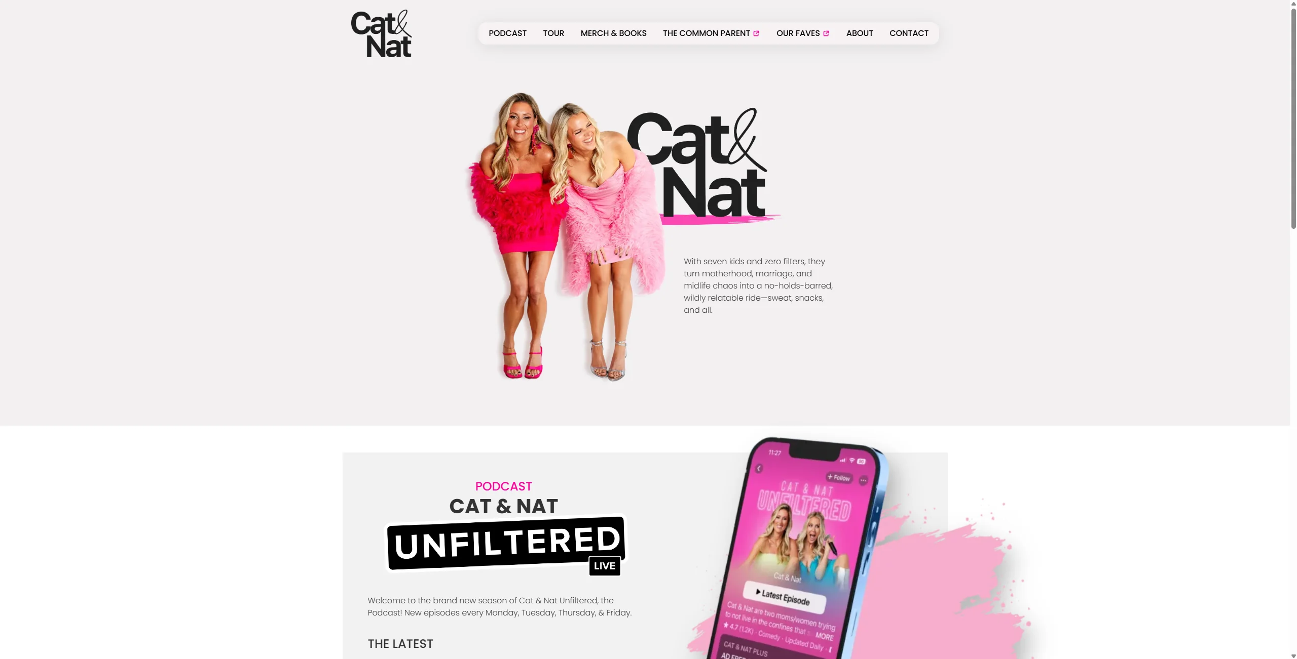 Screenshot of Cat and Nat
