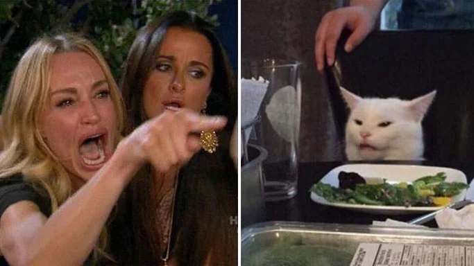 Woman yelling cat classroom conflict with funny school tension.
