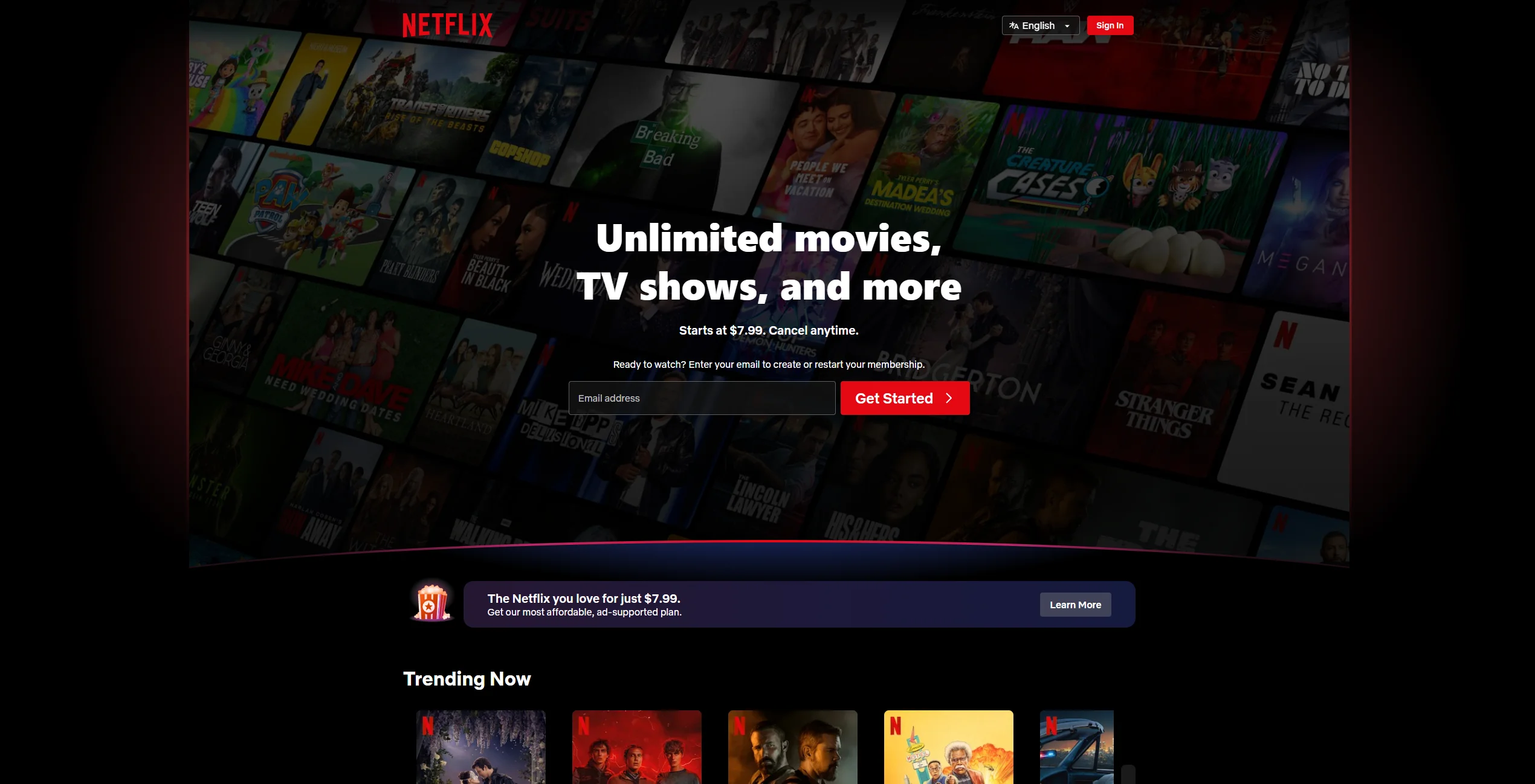 Netflix Web Screenshot. 