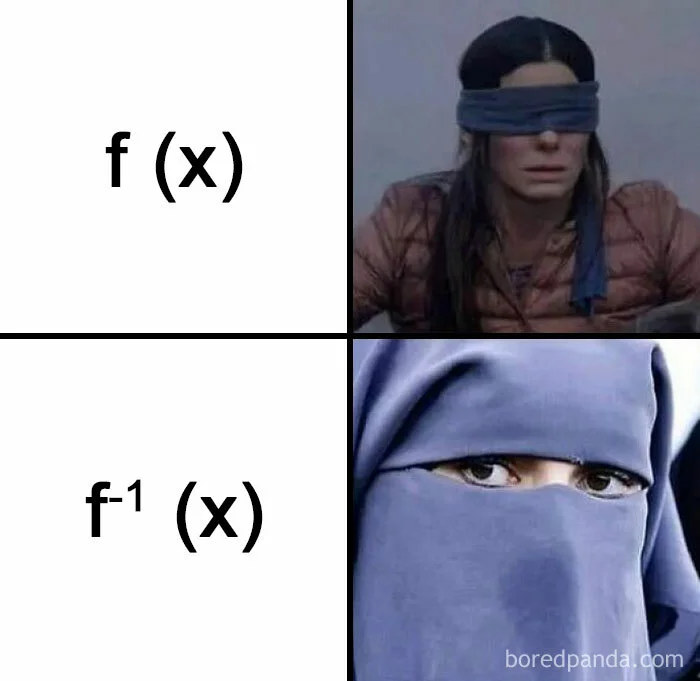 ‘Function vs Inverse Dissection’ Meme
