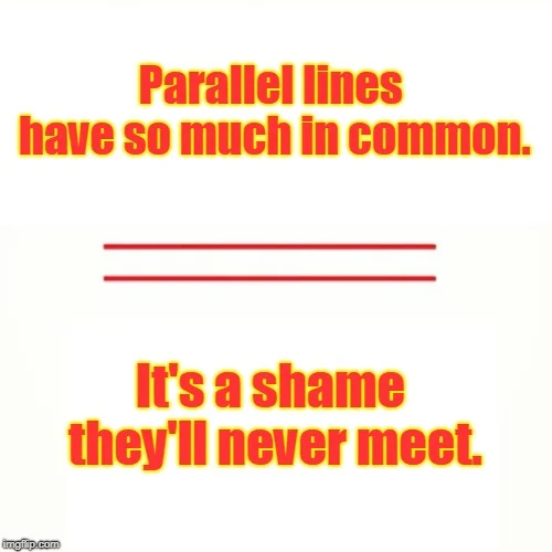  ‘Parallel Lines Have So Much in Common’ Meme
